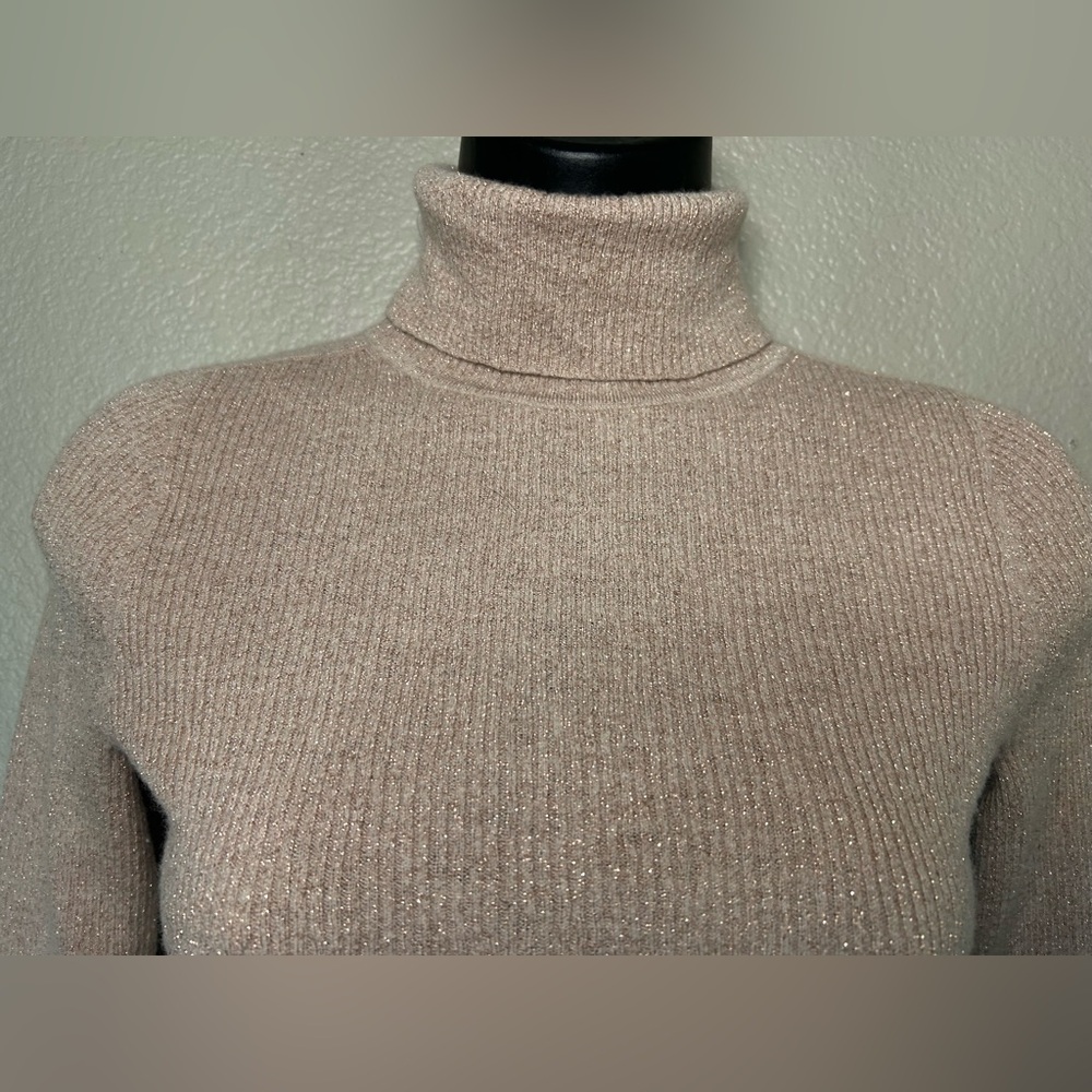 EVERLANE Blush Pink Turtleneck Shirt with Gold Metallic Threads Holiday Sz S - Picture 3 of 5